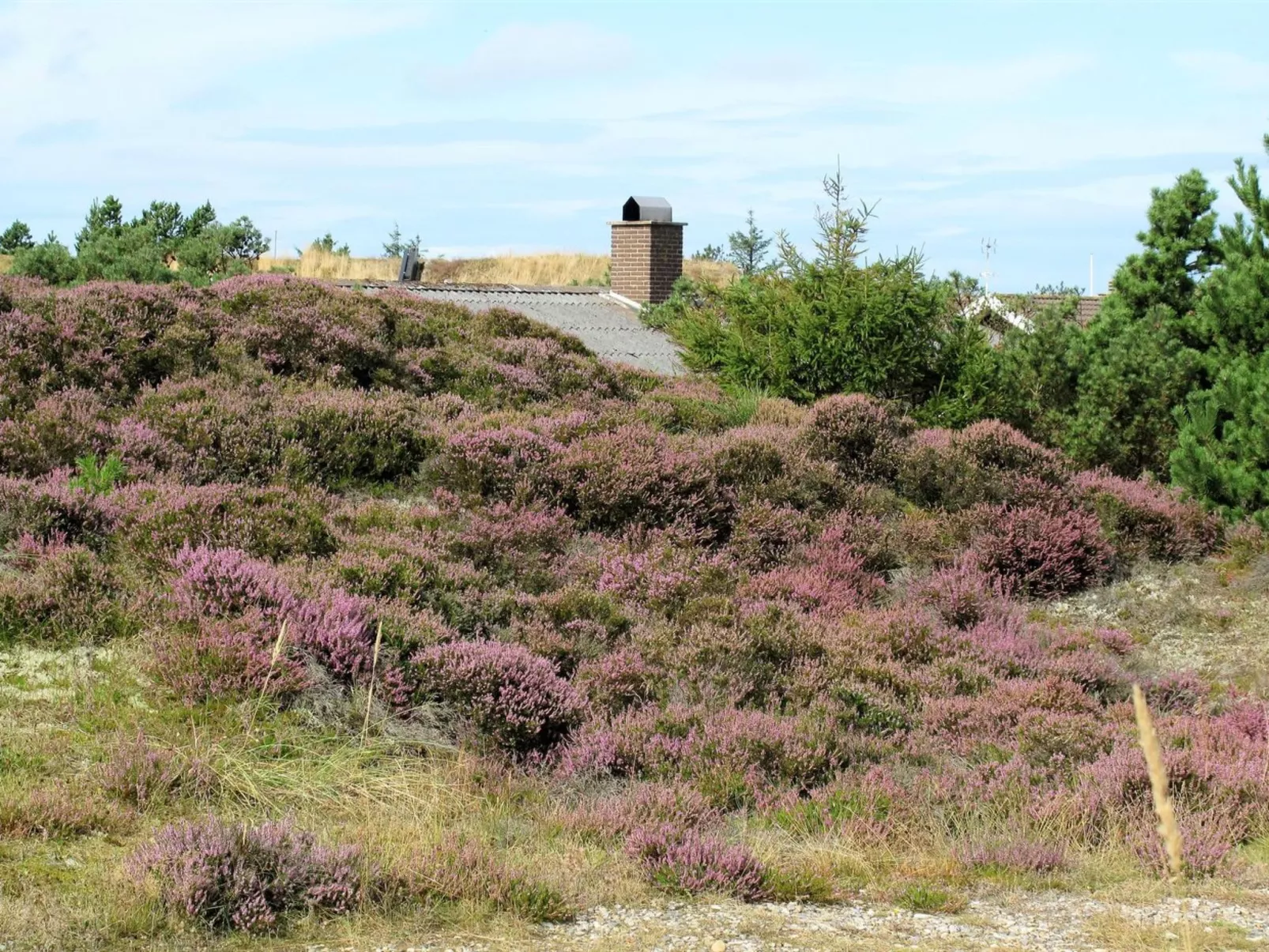 "Elsa" - 700m from the sea-Draußen