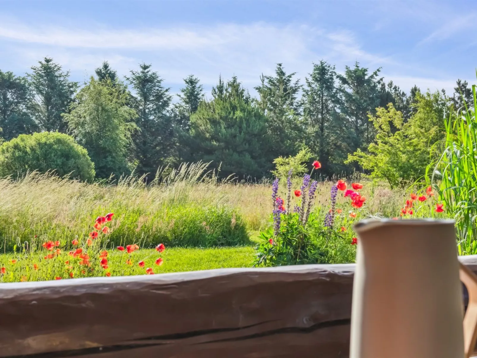 "Elsia" - 1.5km to the fjord-Outside