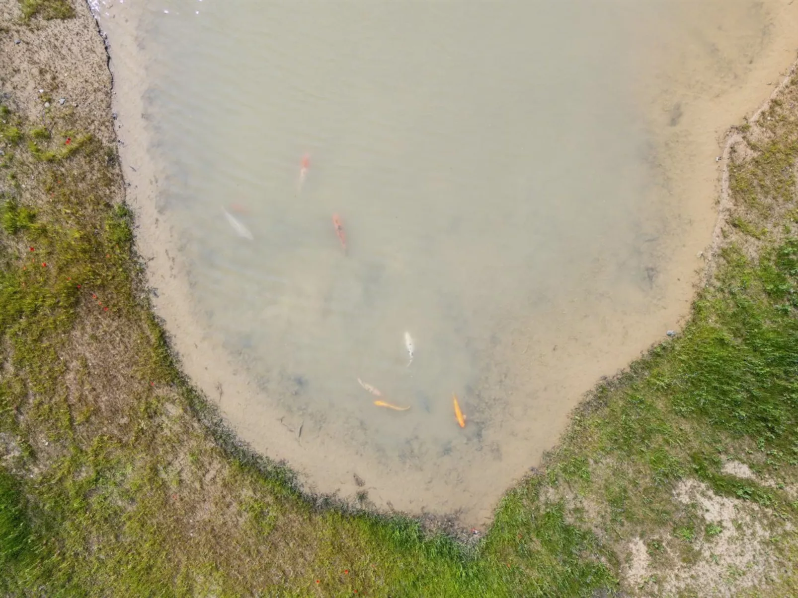 "Malinda" - 500m from the sea-Dehors