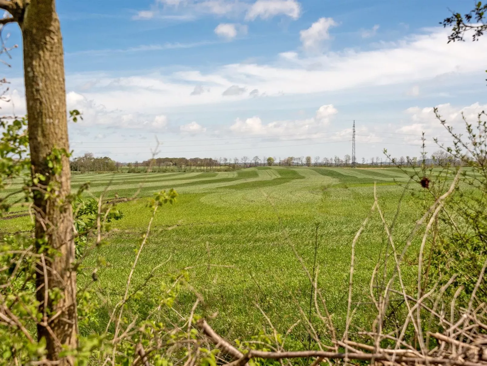 "Henna" - 550m to the fjord-Draußen