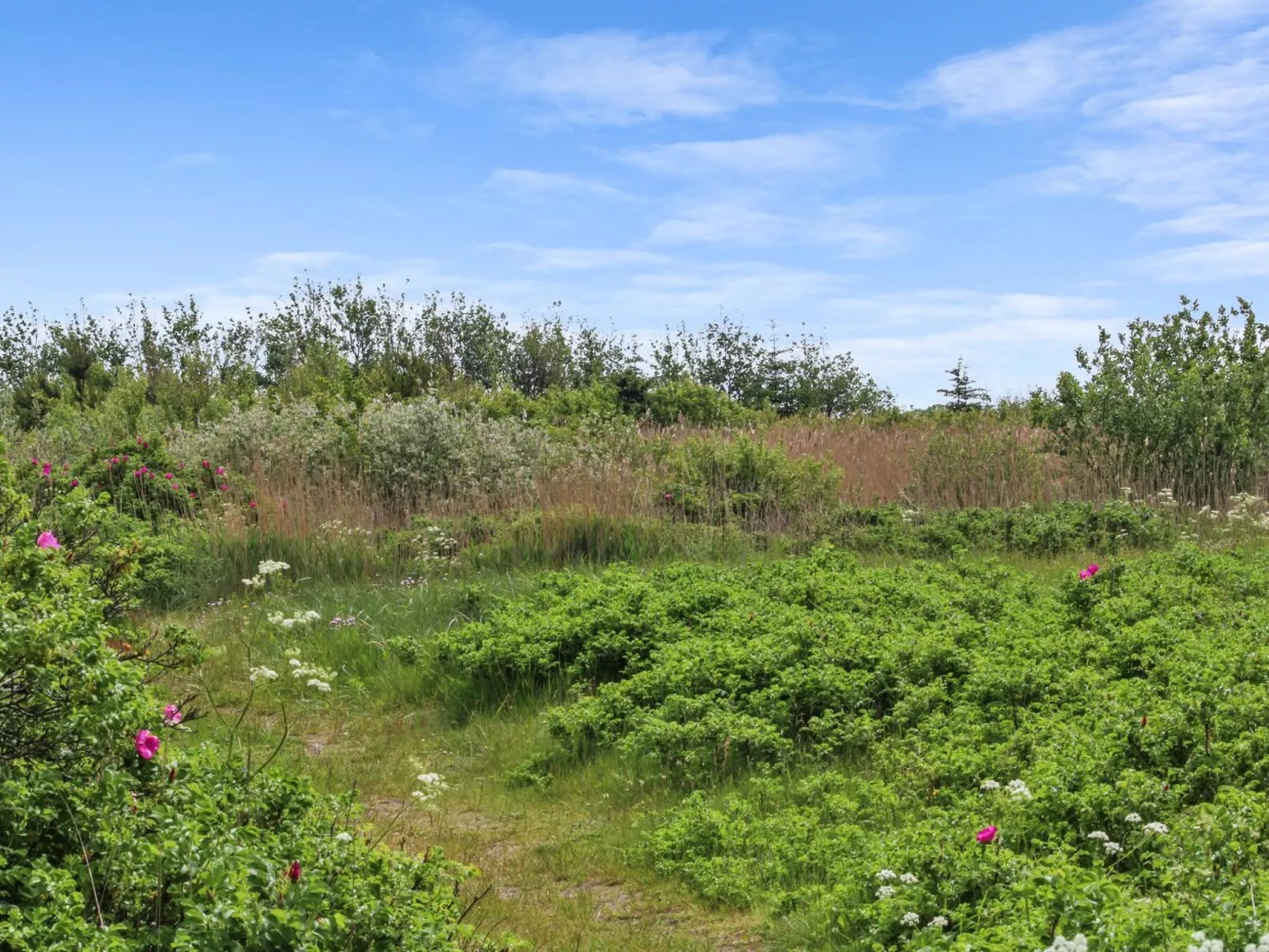 "Andria" - 300m from the sea-Dehors