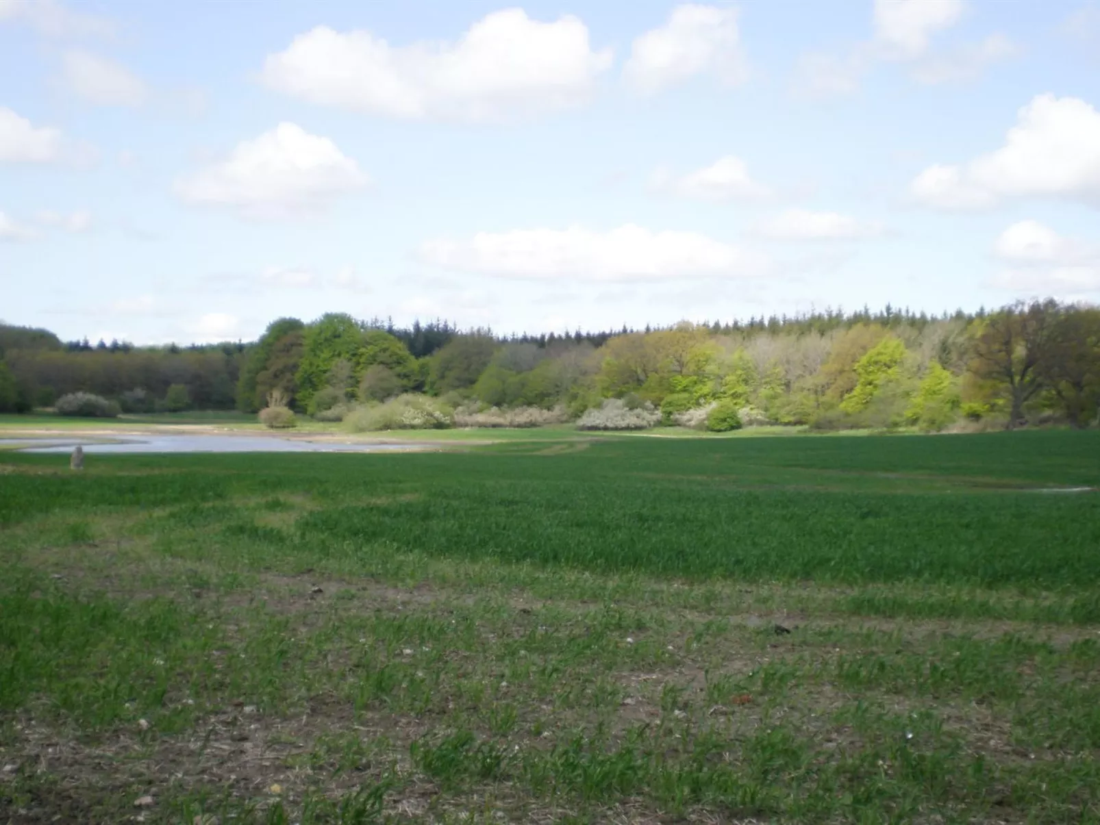 "Thia" - 4km to the fjord-Dehors