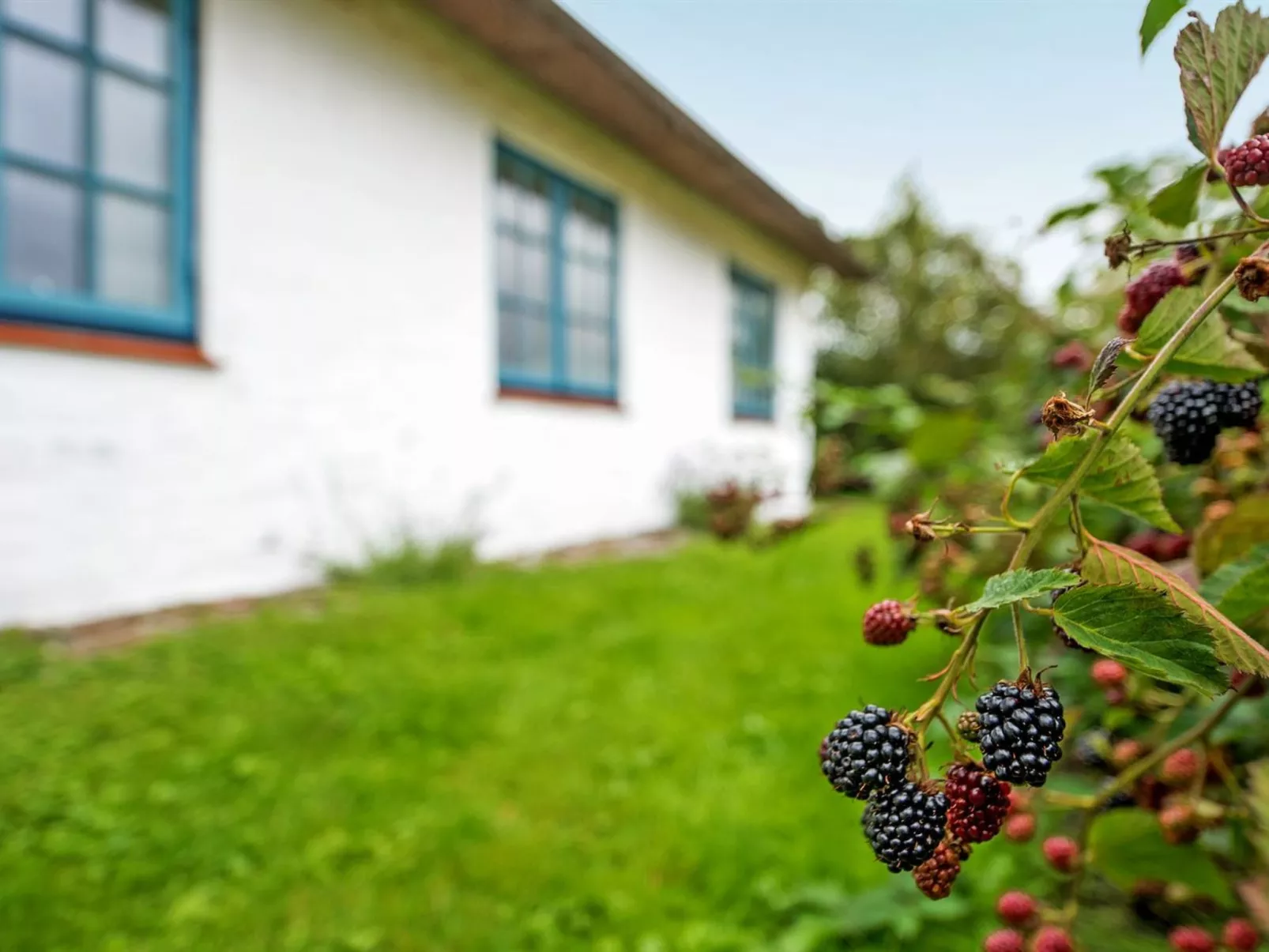 "Clausina" - 600m from the sea-Draußen