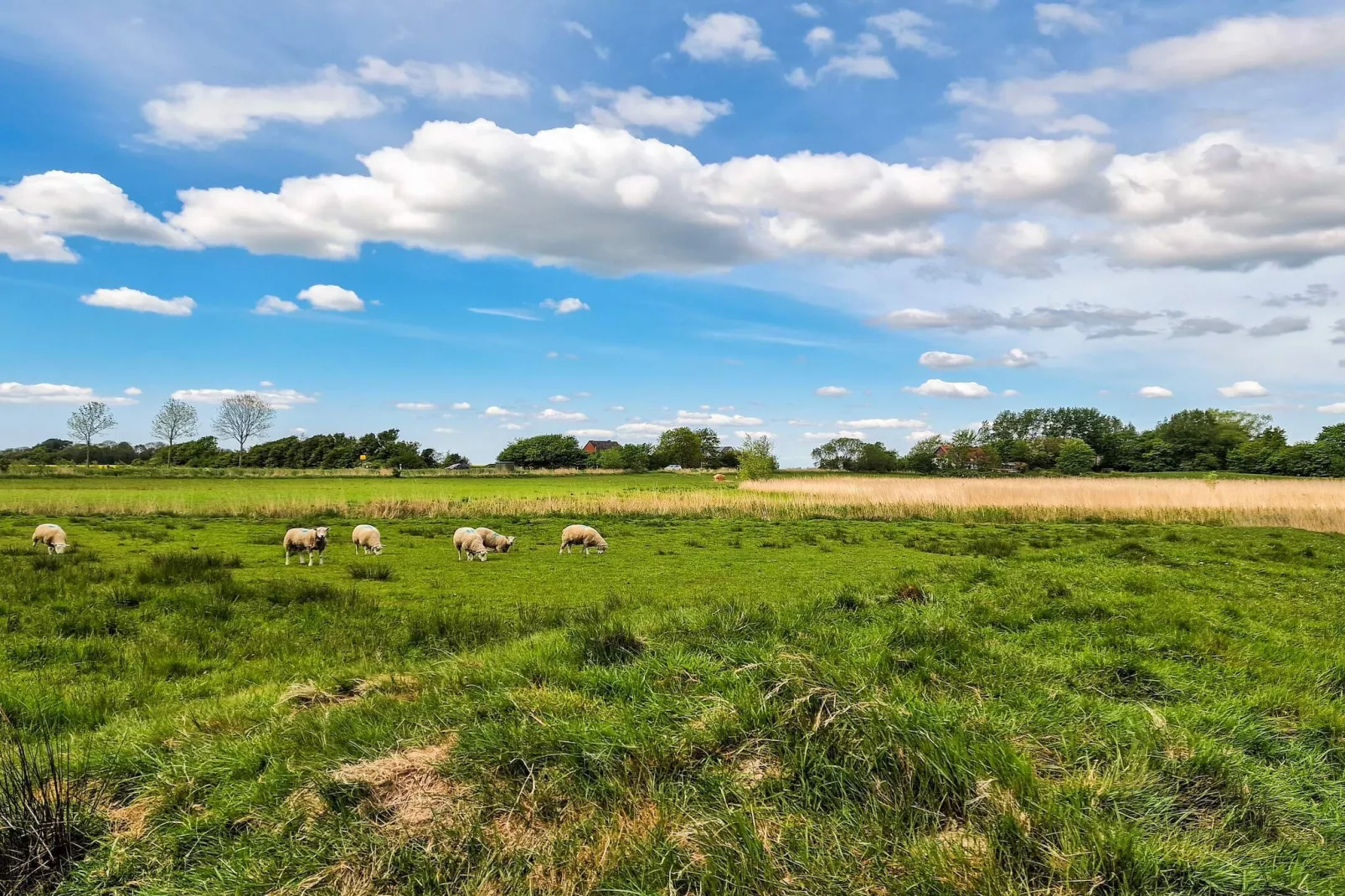4 Personen Ferienhaus in Tønder-By Traum-Im Freien