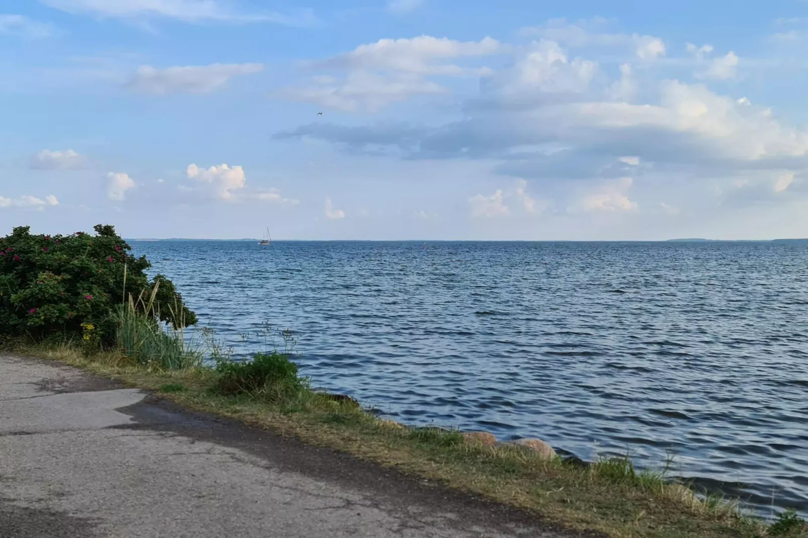5 Personen Ferienhaus in Rørvig-By Traum-Wasserblick