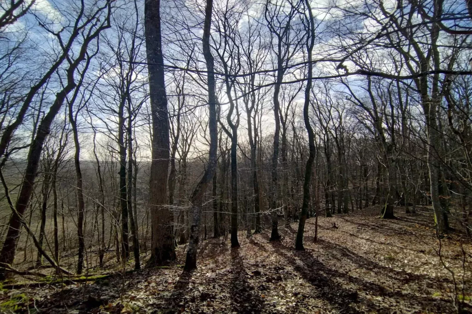 9 person holiday home in Ljungbyhed-By Traum-Untagged