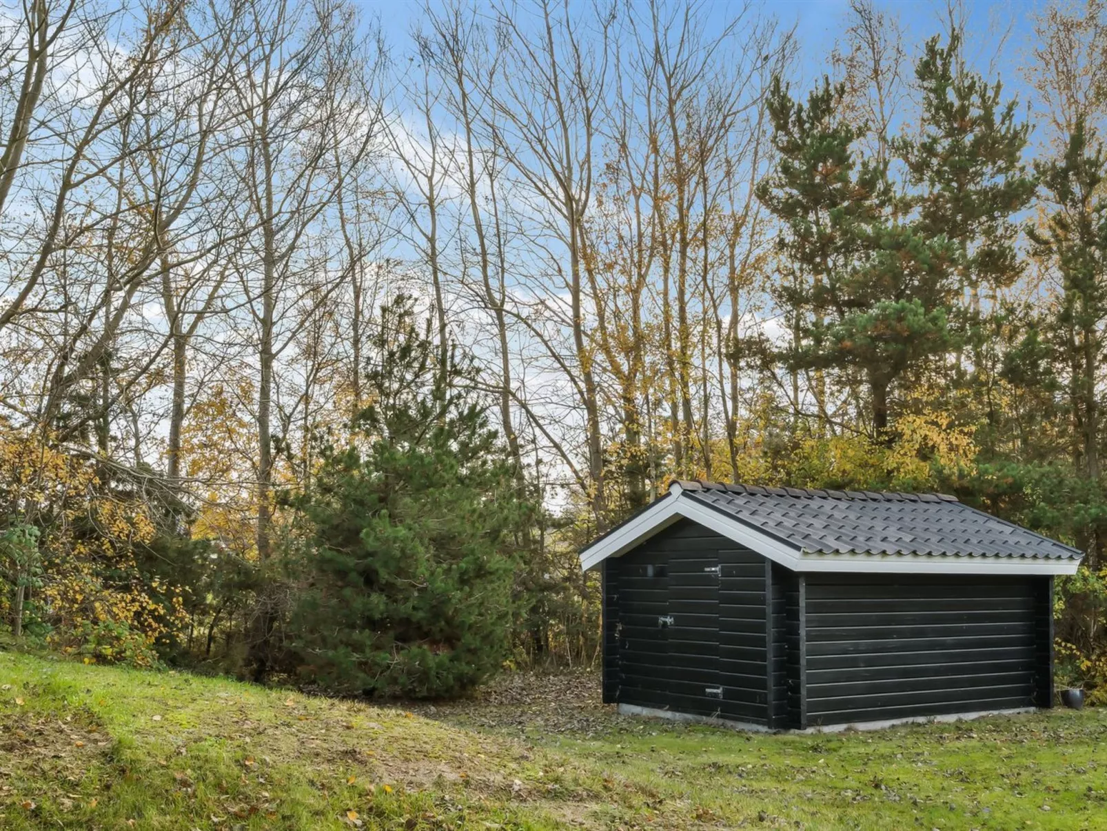 "Alvy" - 200m from the sea-Outside