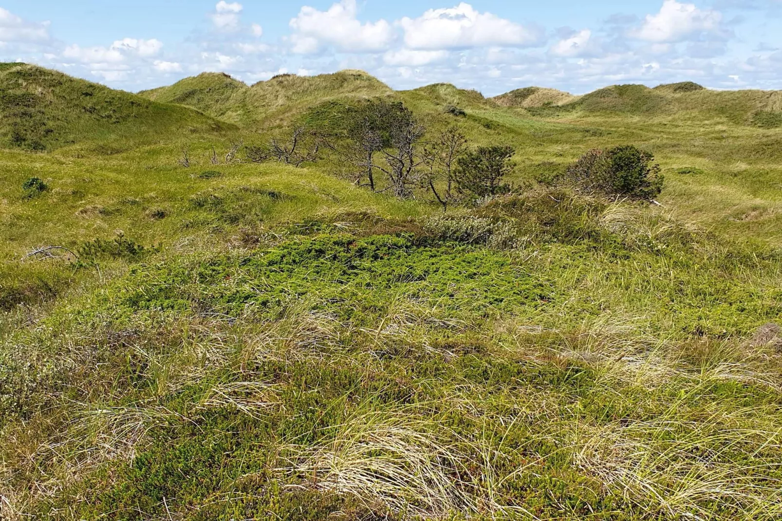 Maison de vacances pour 6 a Pandrup-By Traum-Non tagué