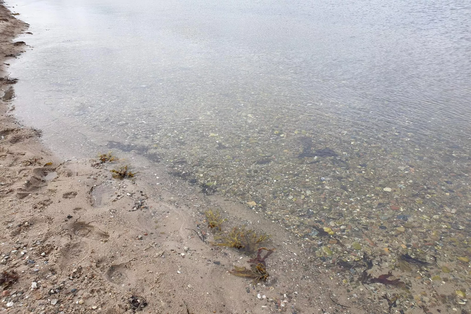 8 Personen Ferienhaus in Aabenraa-By Traum-Wasserblick