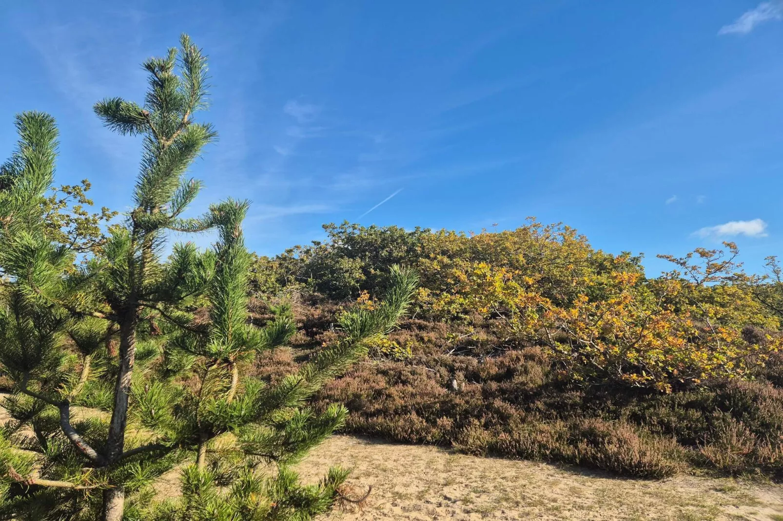 6 person holiday home in Henne-Untagged