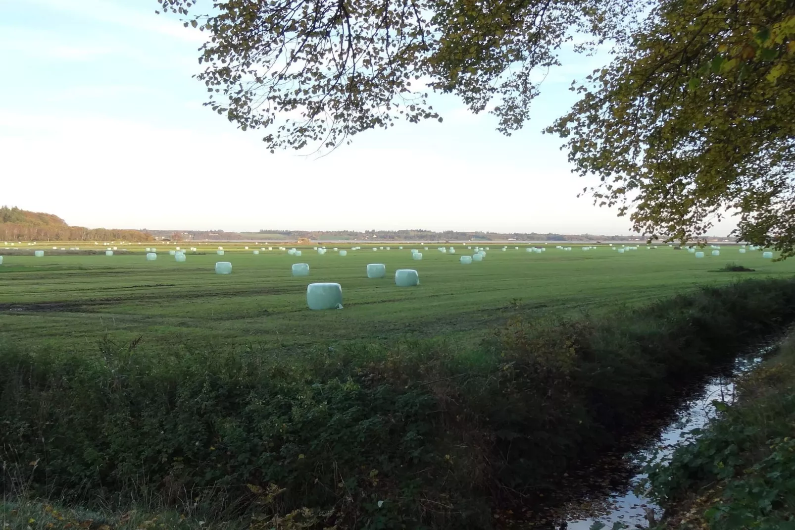 8 Personen Ferienhaus in Øster Assels-By Traum-Nicht zugeordnet