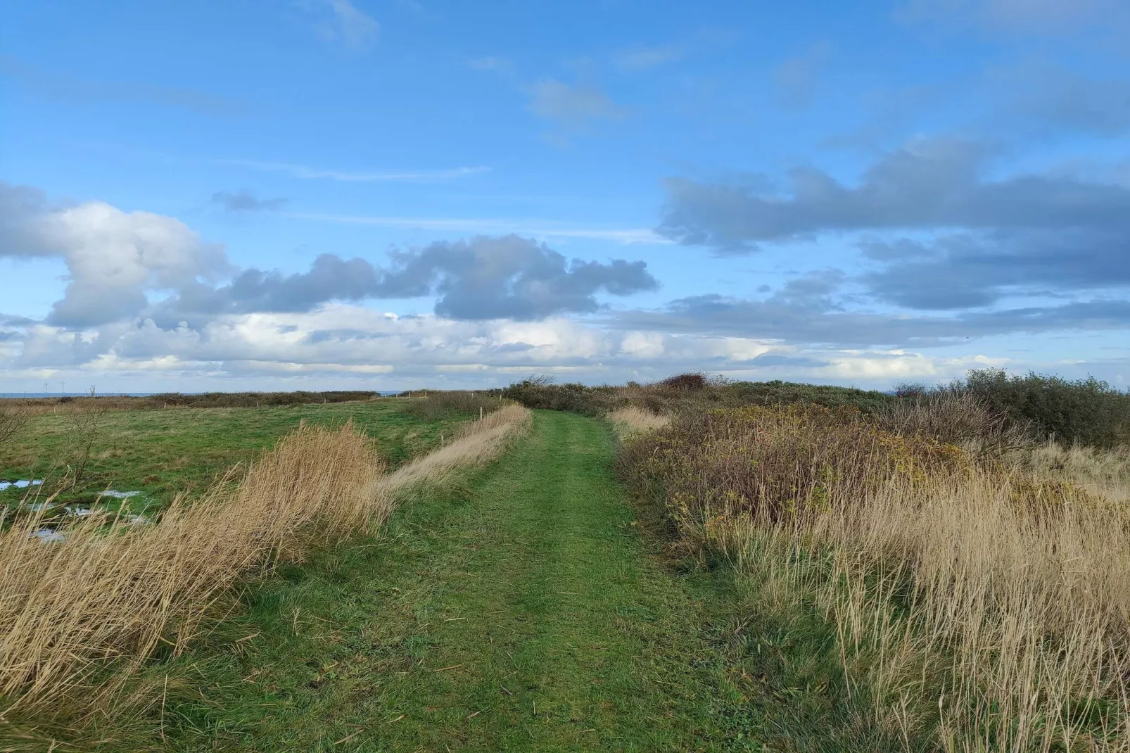 8 person holiday home in Lemvig-By Traum-Untagged
