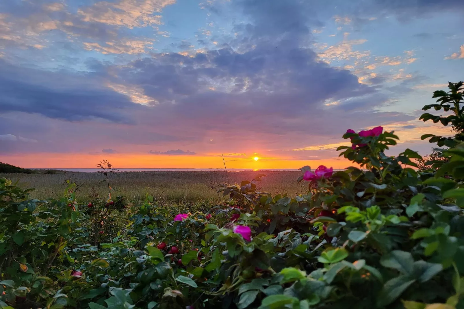 Maison de vacances pour 5 a Skjern-By Traum-Non tagué