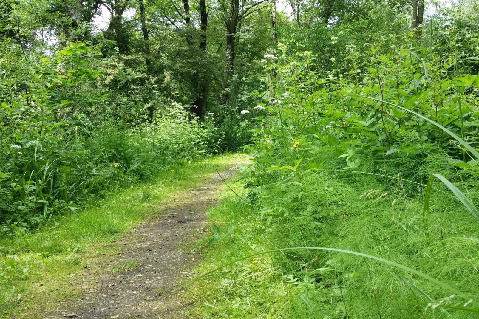 Lakefront Gem in Skarrild - By Traum Ferienwohnungen-Untagged