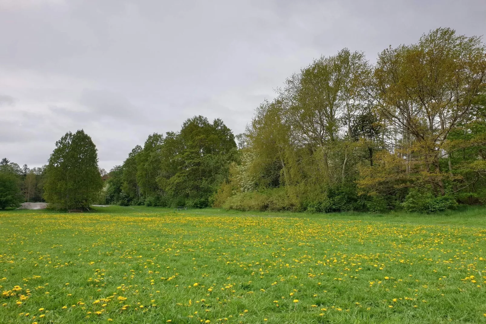 4 etoiles maison de vacances a ENSKEDE-By Traum-Non tagué