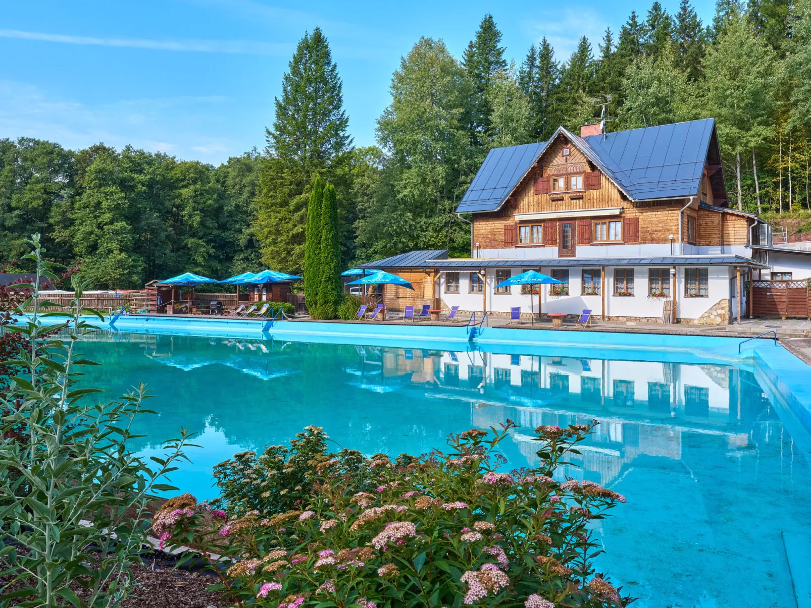 Luxe Timber Lodge & Pet Retreat-Outside