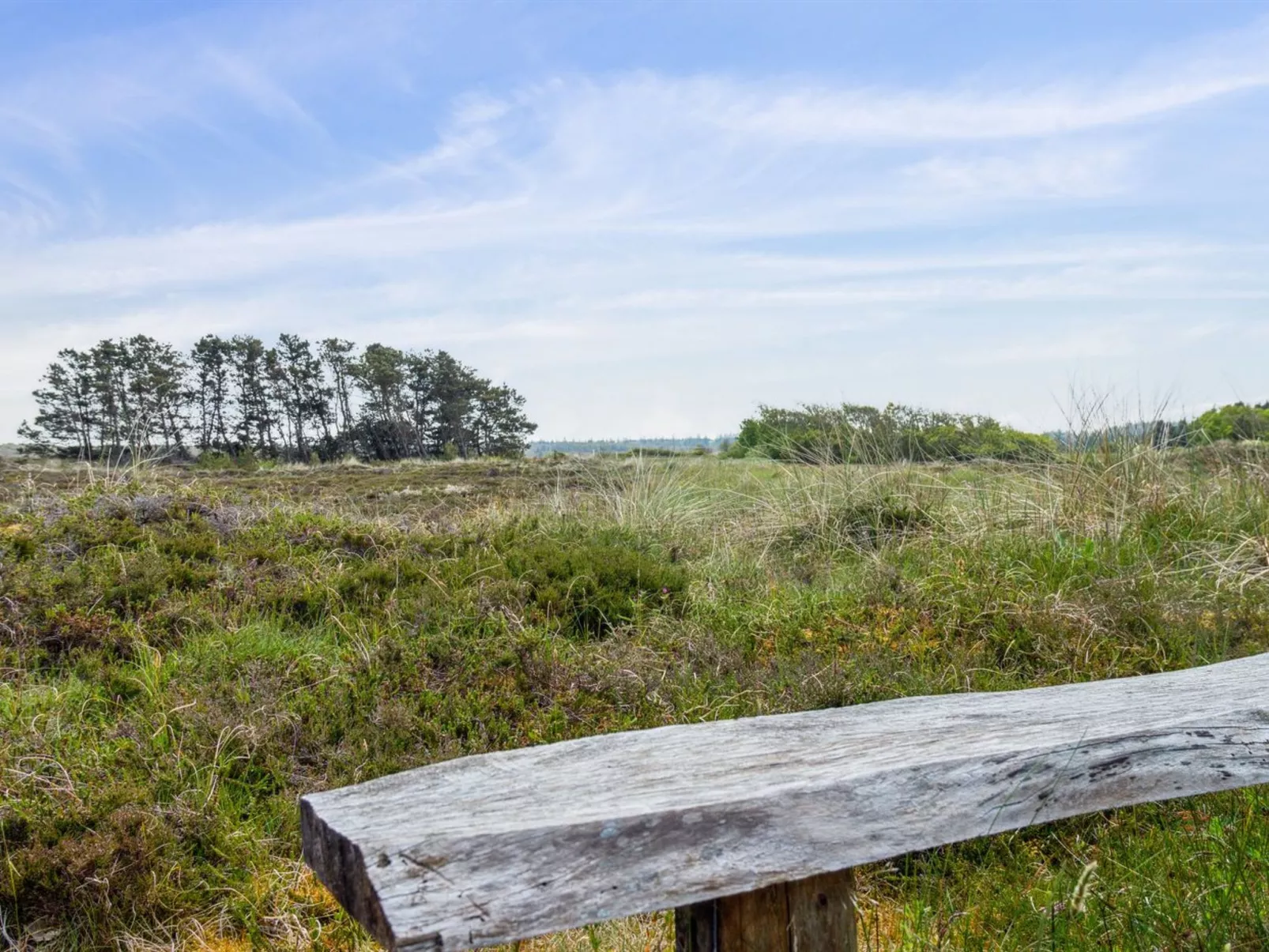 "Myrte" - 900m from the sea-Outside