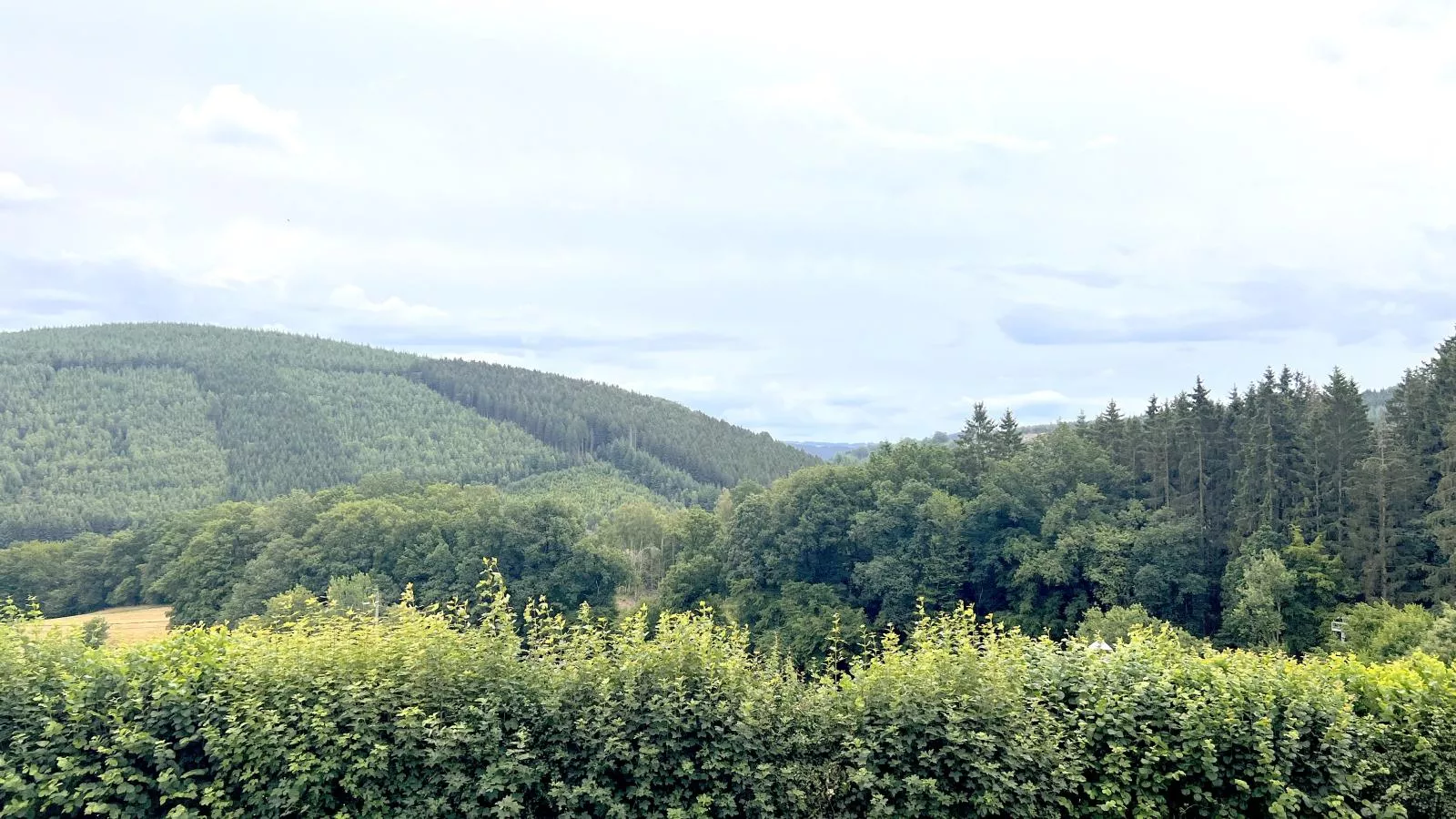 Sur les Thiers-View summer