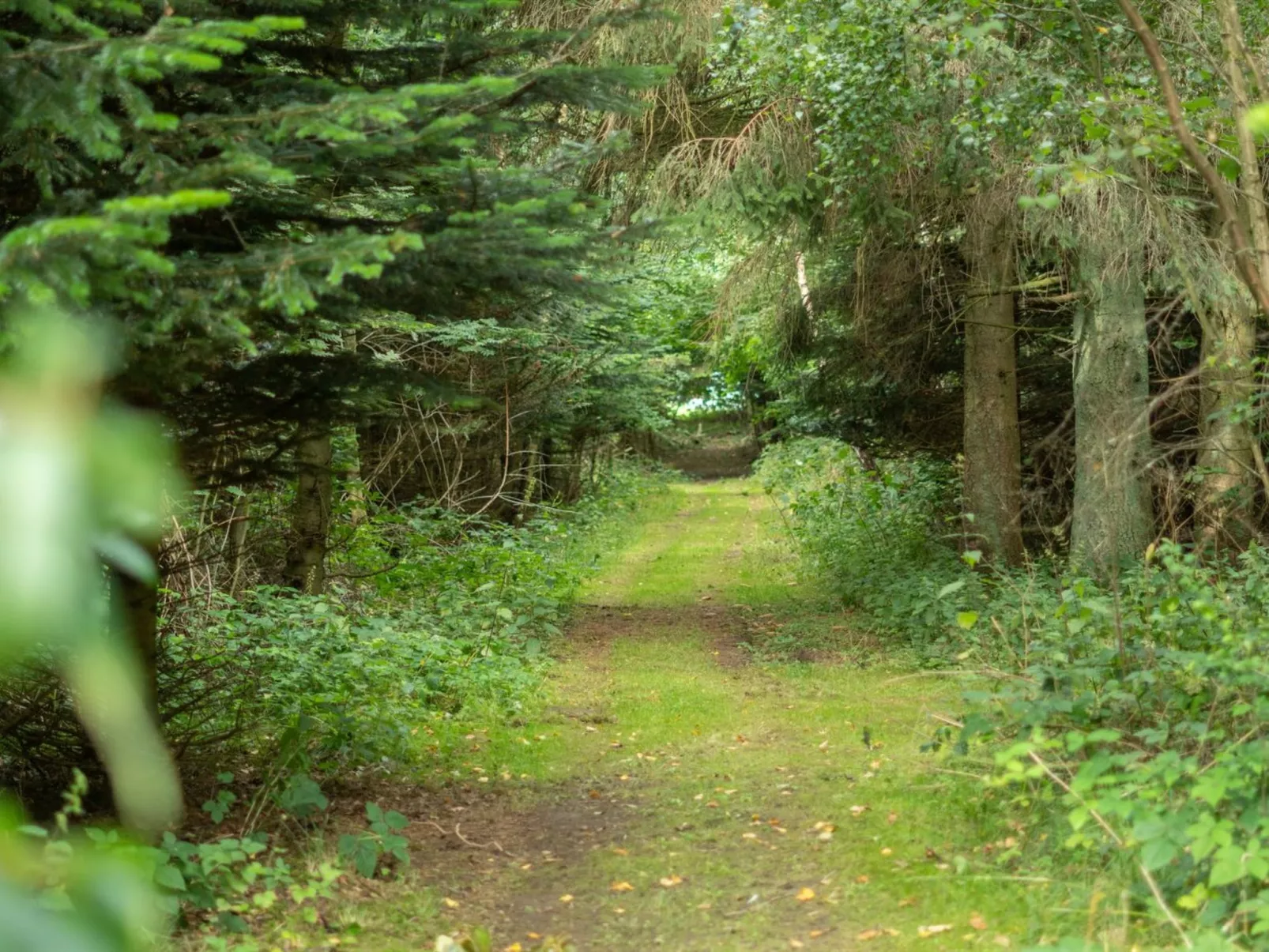 "Thana" - 8km from the sea-Dehors