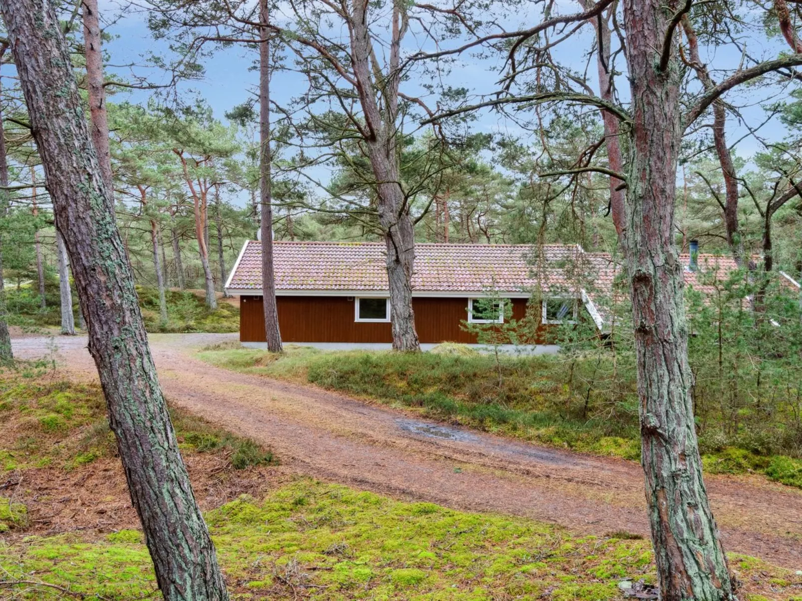 "Micaela" - 450m from the sea-Outside