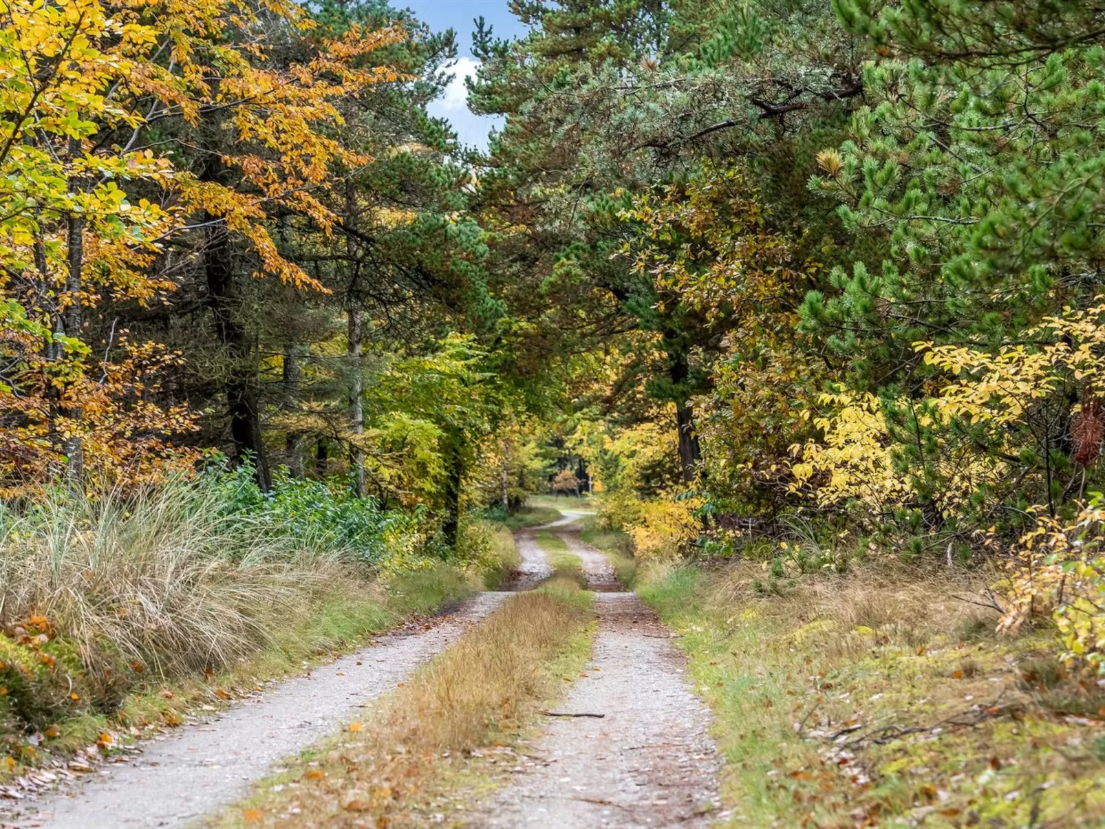 "Eimi" - 1.5km from the sea-Draußen