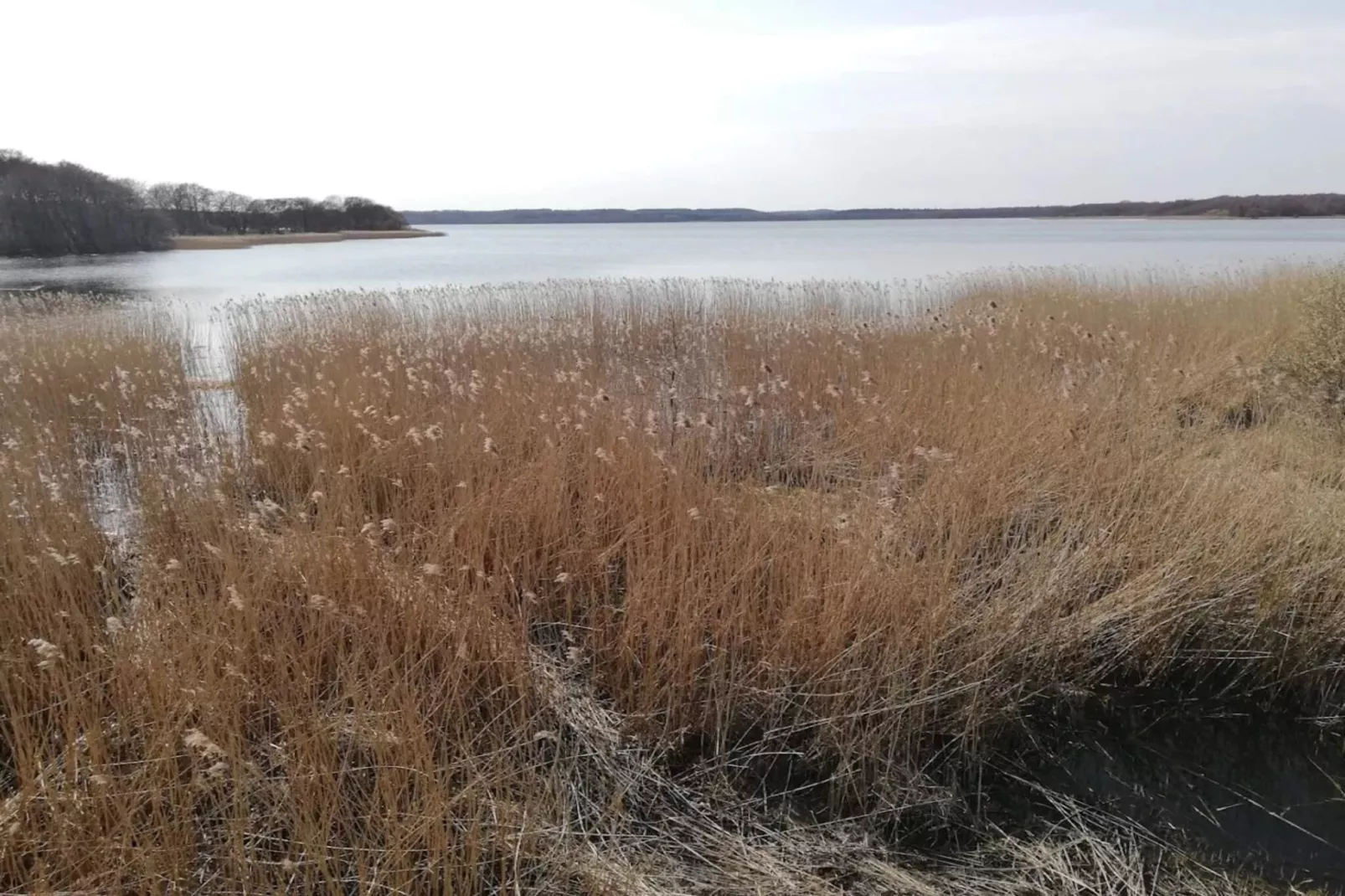 4 star holiday home in Ebeltoft-By Traum-Water view