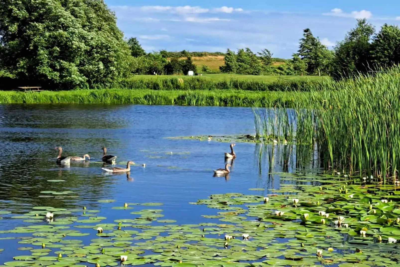 5 etoiles maison de vacances a Humble-By Traum-Vue sur l'eau
