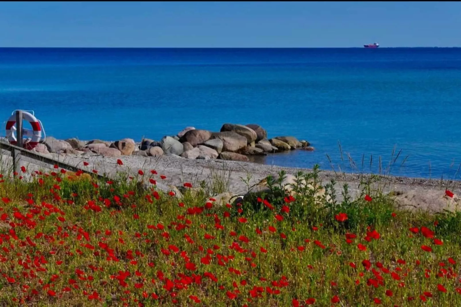 Luxuriose Oase bei Hasmark -- By Traum Ferienwohnungen-Wasserblick
