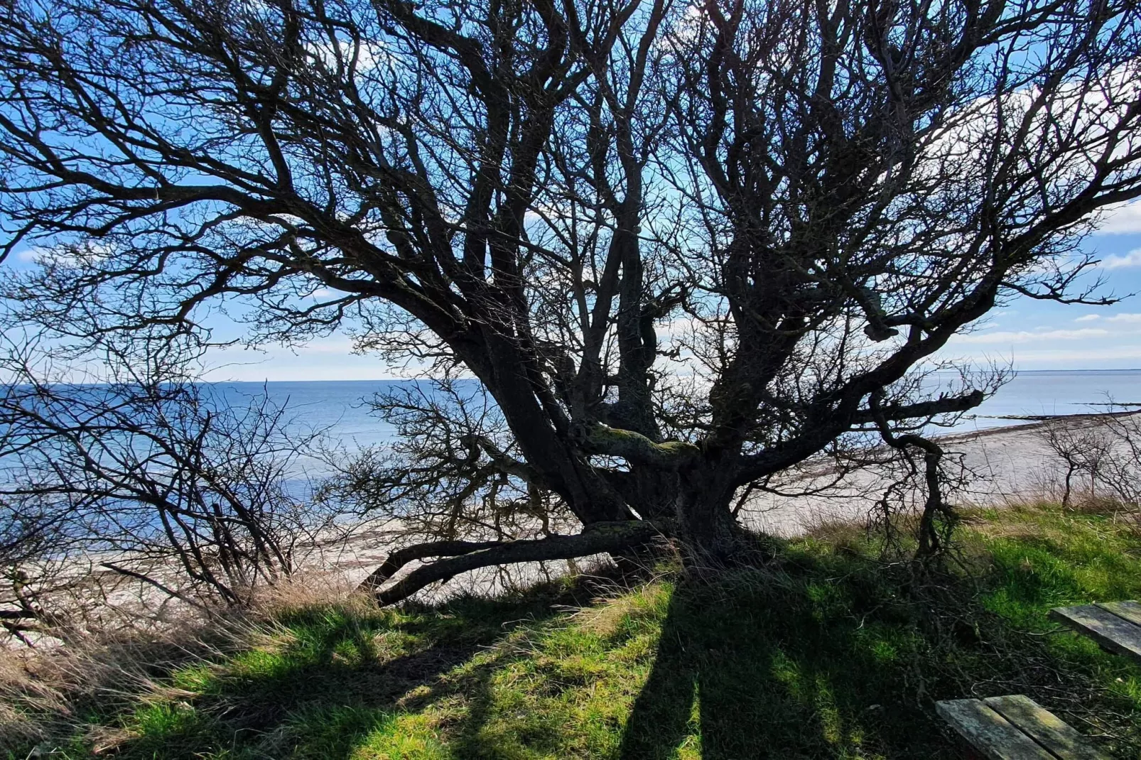 Maison de vacances pour 8 a Nykøbing F-By Traum-Vue sur l'eau