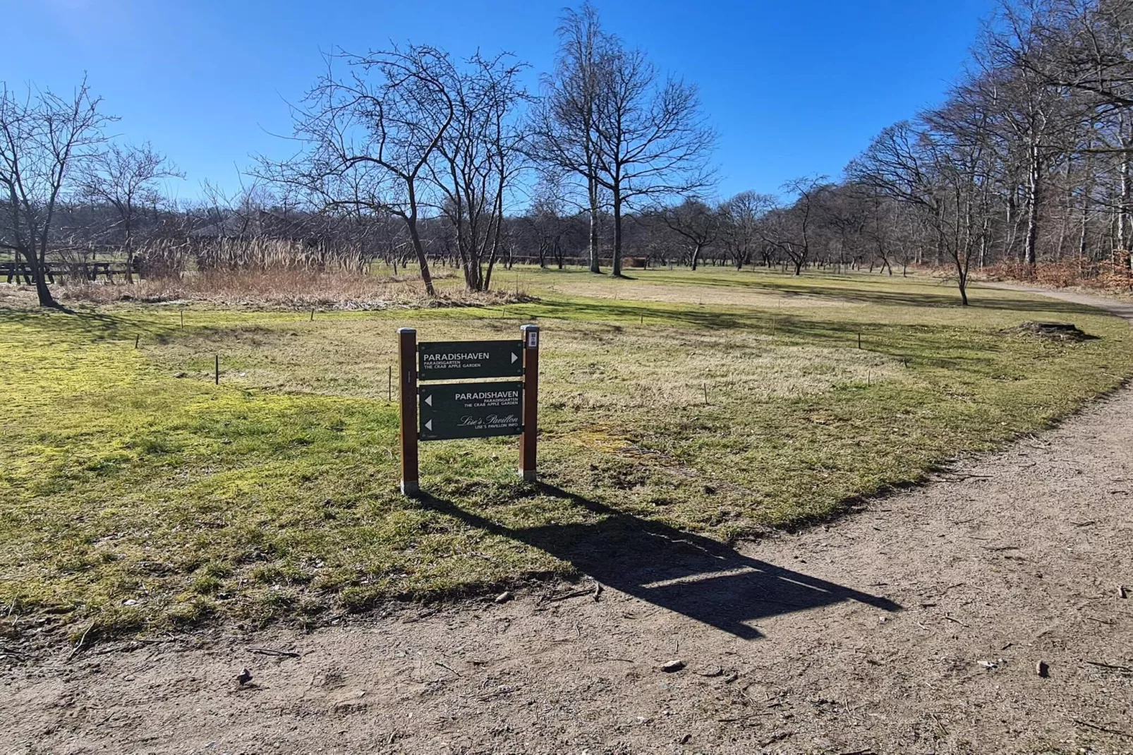 5 star holiday home in Frederikshavn-By Traum-Untagged