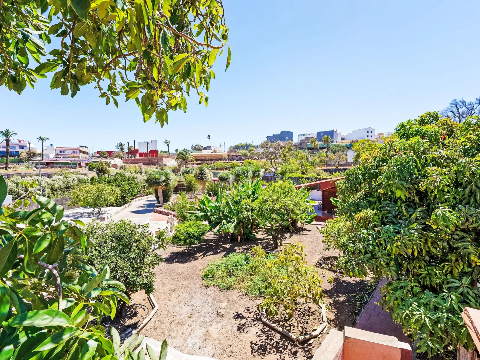 Villa Parralito Ingenio-Draußen