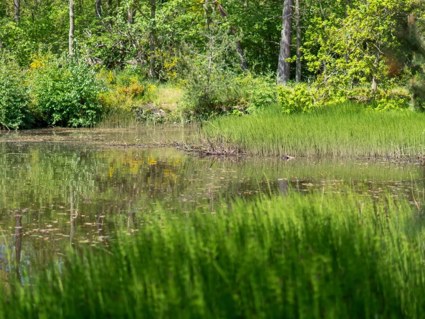 "Smilla" - 300m from the sea-Outside