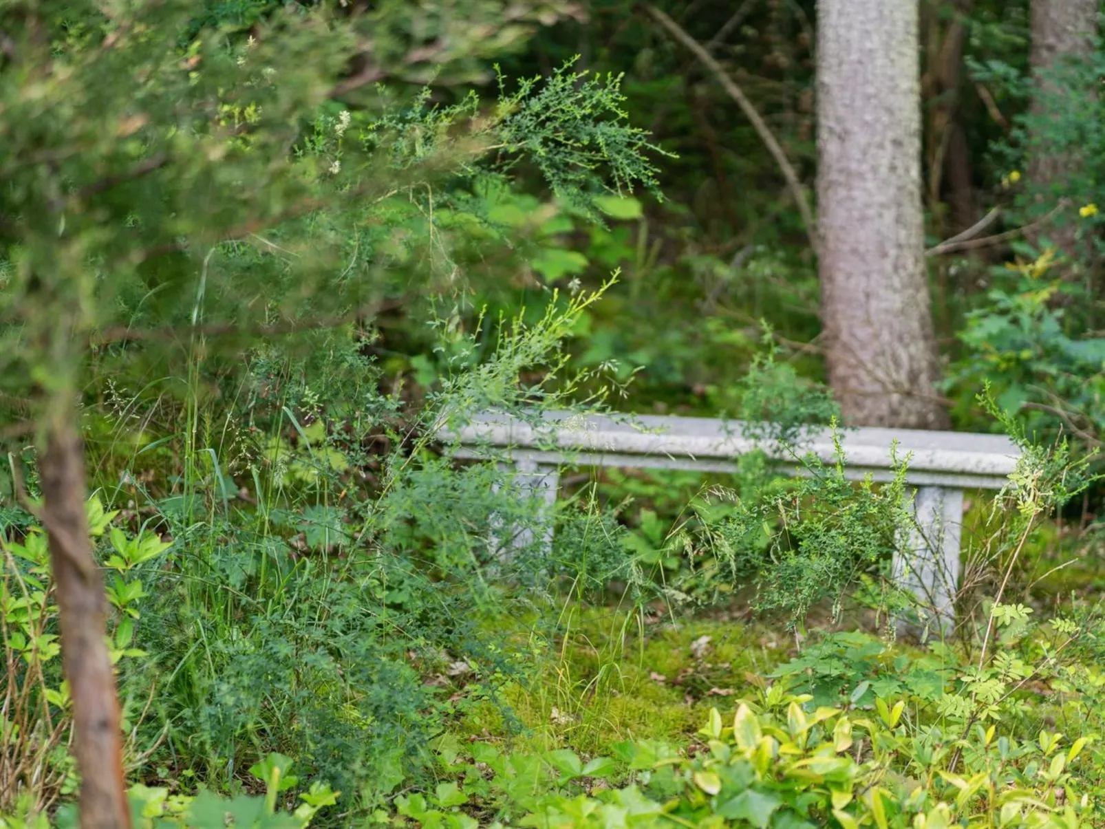 "Anthonette" - 900m from the sea-Dehors