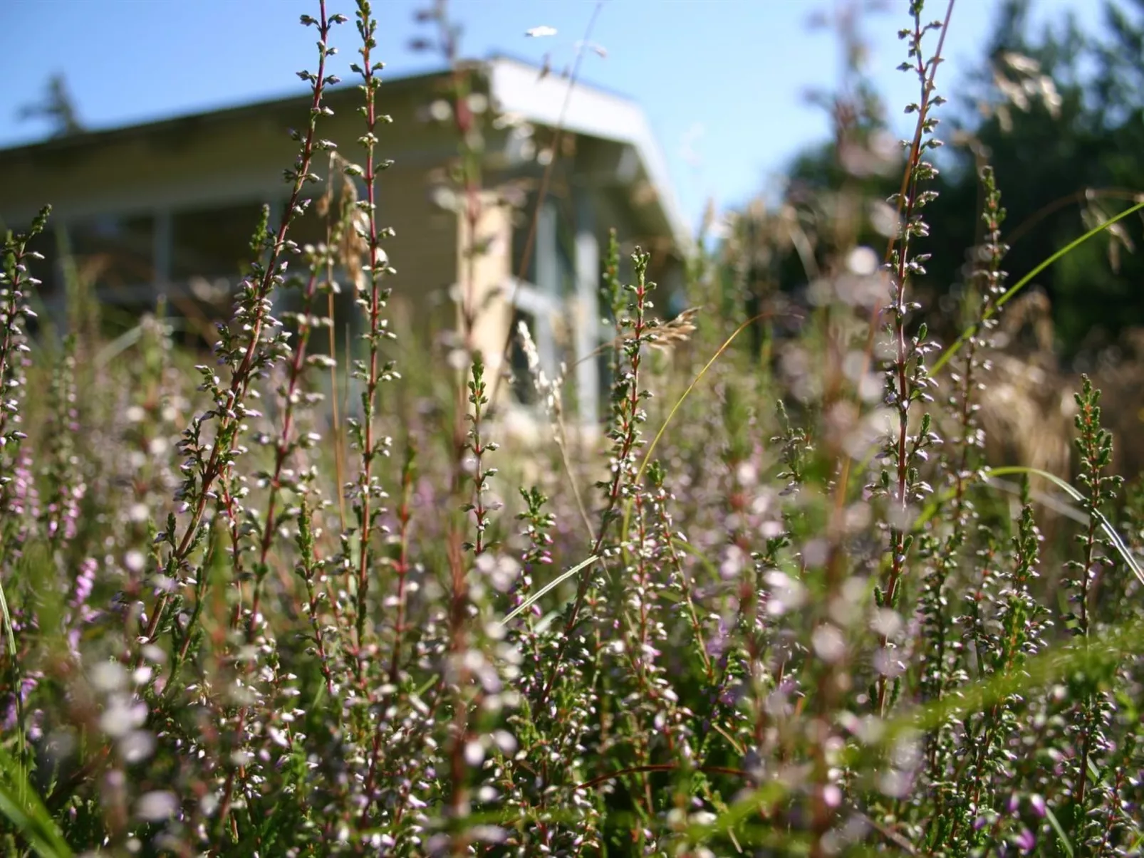 "Gisa" - 400m from the sea-Outside