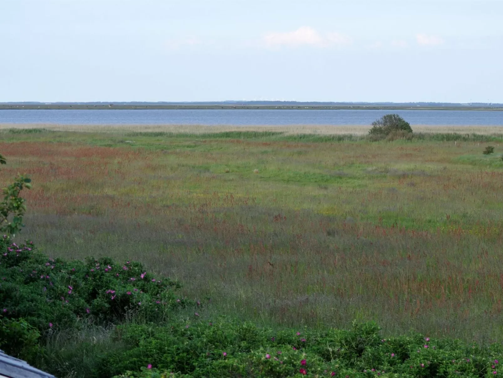 "Werna" - 800m from the sea-Outside