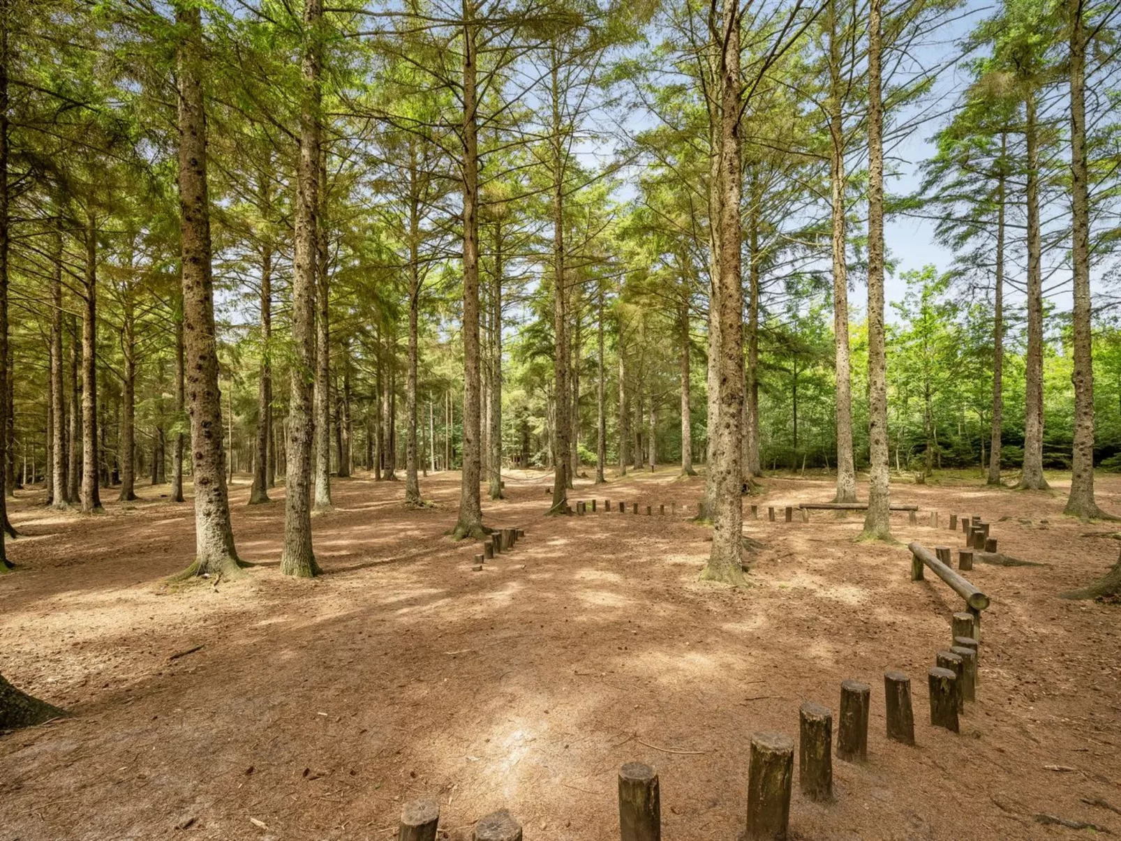 "Aurelie" -  from the sea-Outside