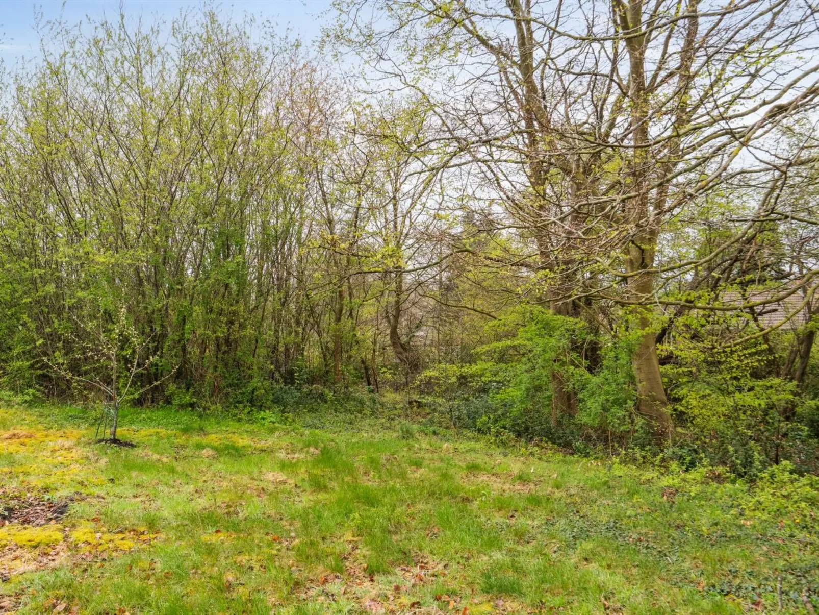 "Avni" - 300m from the sea-Outside