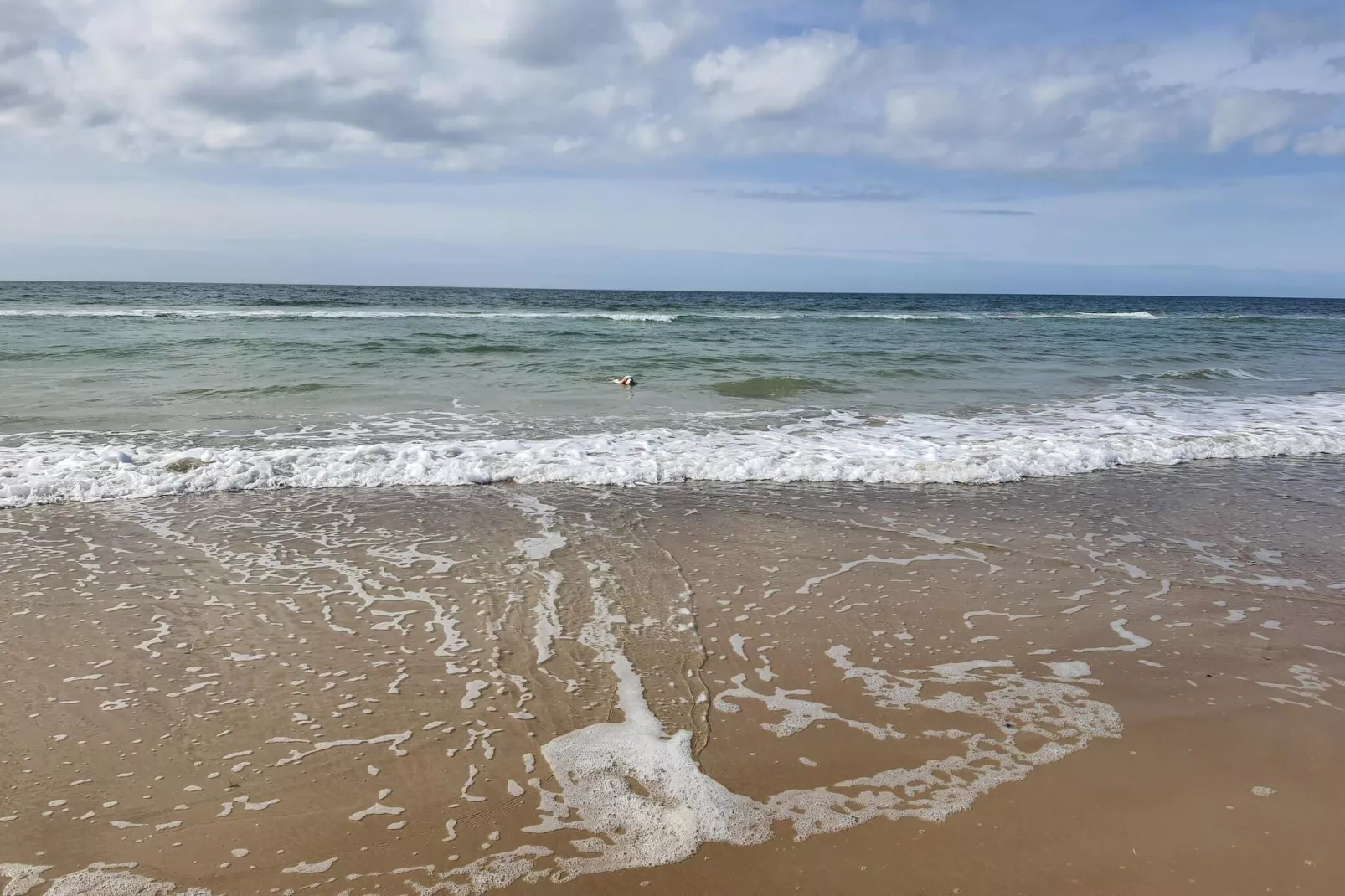 Maison de vacances pour 8 a Pandrup-By Traum-Vue sur l'eau