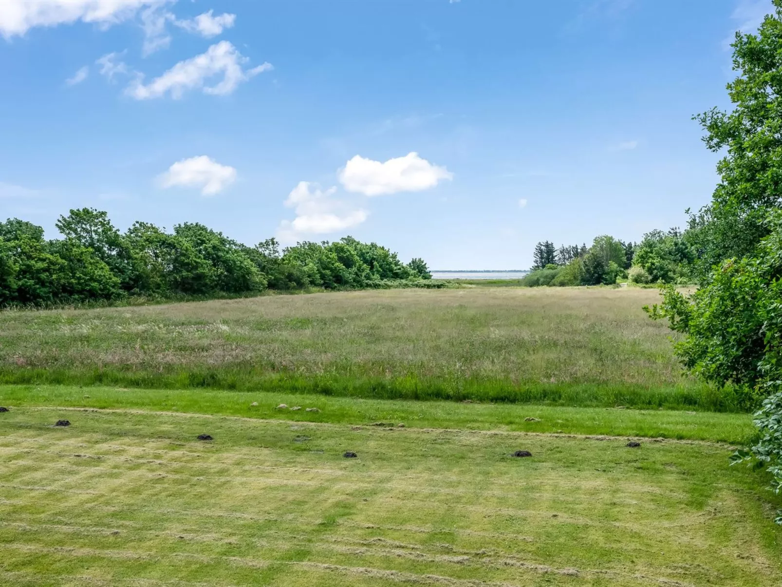 "Arlin" - 380m to the fjord-Outside