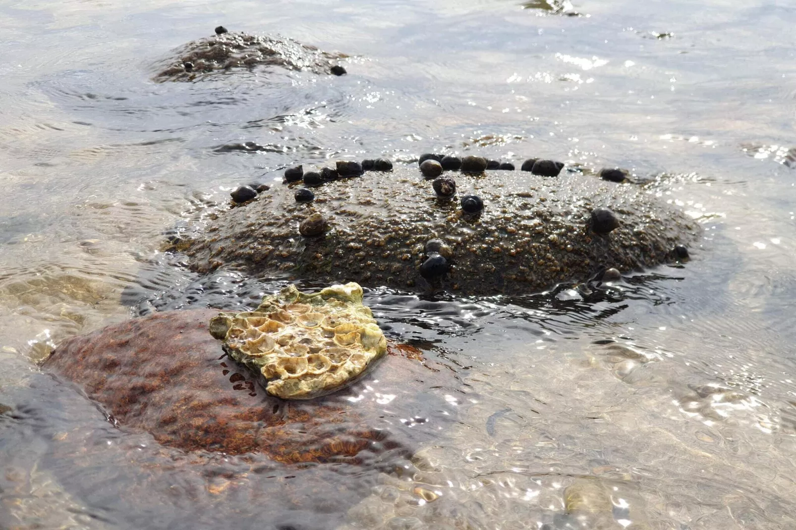 4 star holiday home in Øster Assels-By Traum-Water view