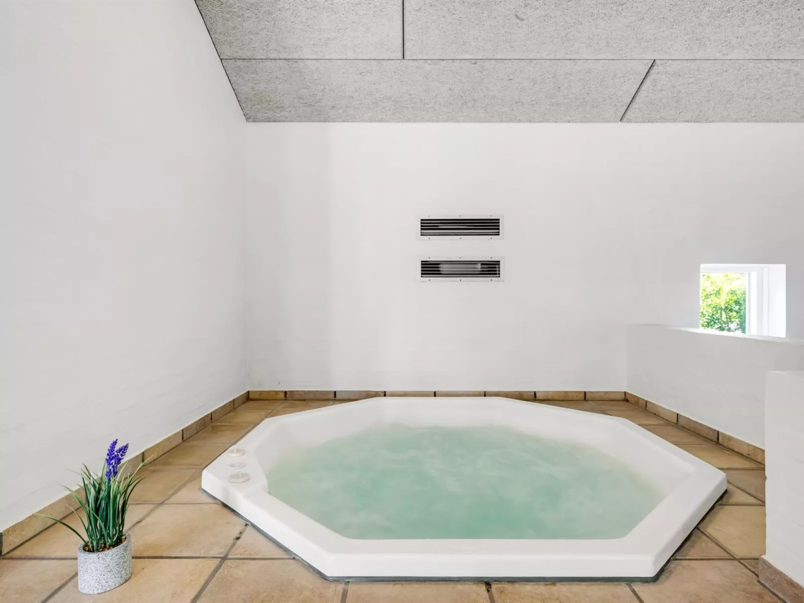 "Holga" - 400m from the sea-Inside