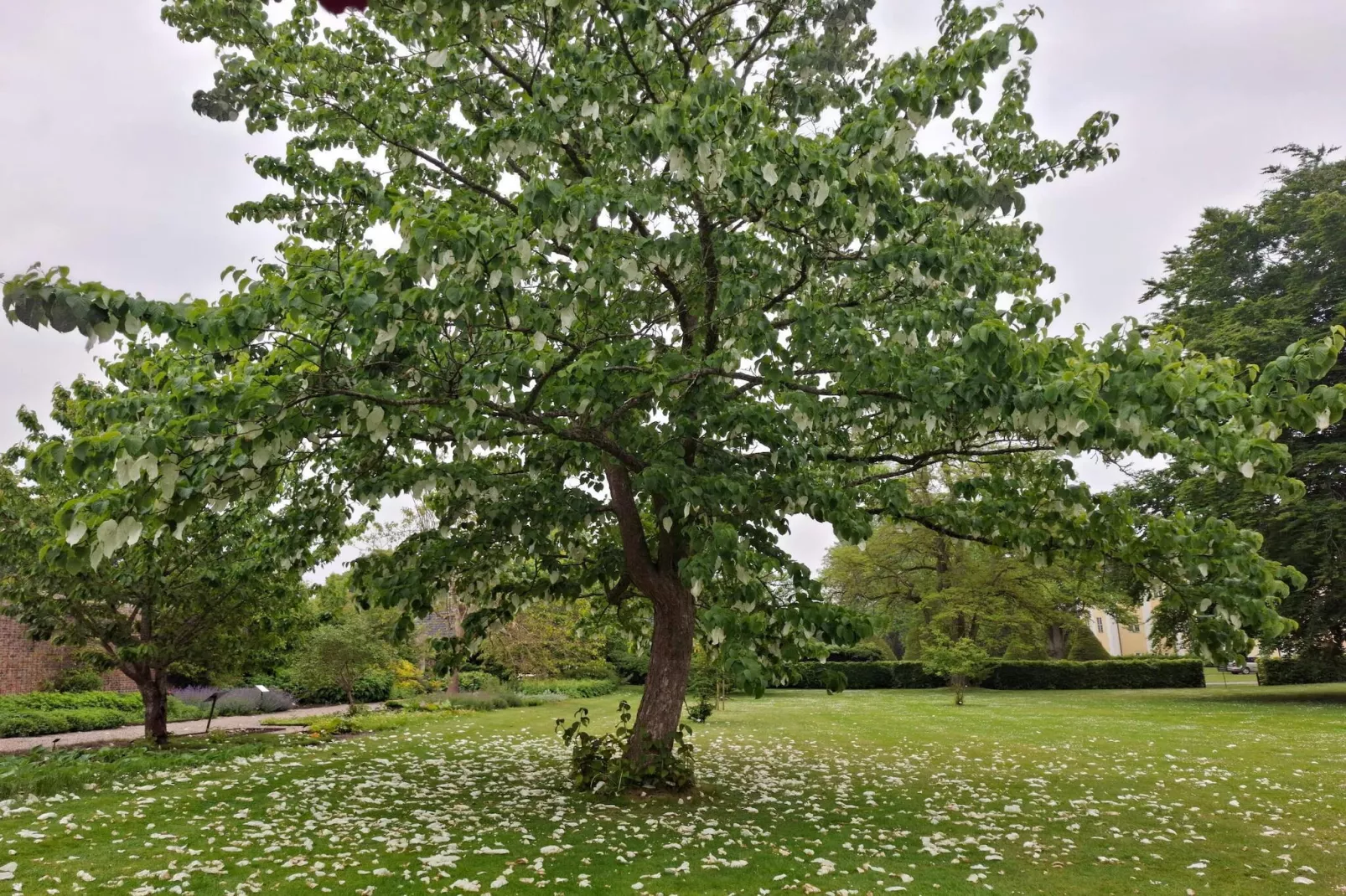 Charming Retreat on Eno - By Traum Ferienwohnungen-Untagged