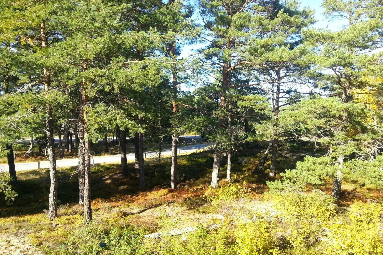 4 etoiles maison de vacances a VÄRMDÖ-Non tagué