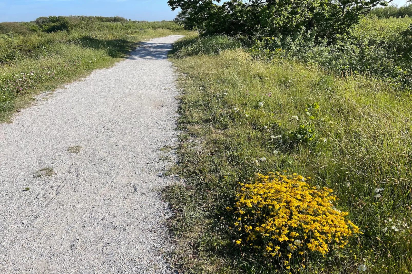 Tipitent de Jutter-Gebiete Sommer 5 km