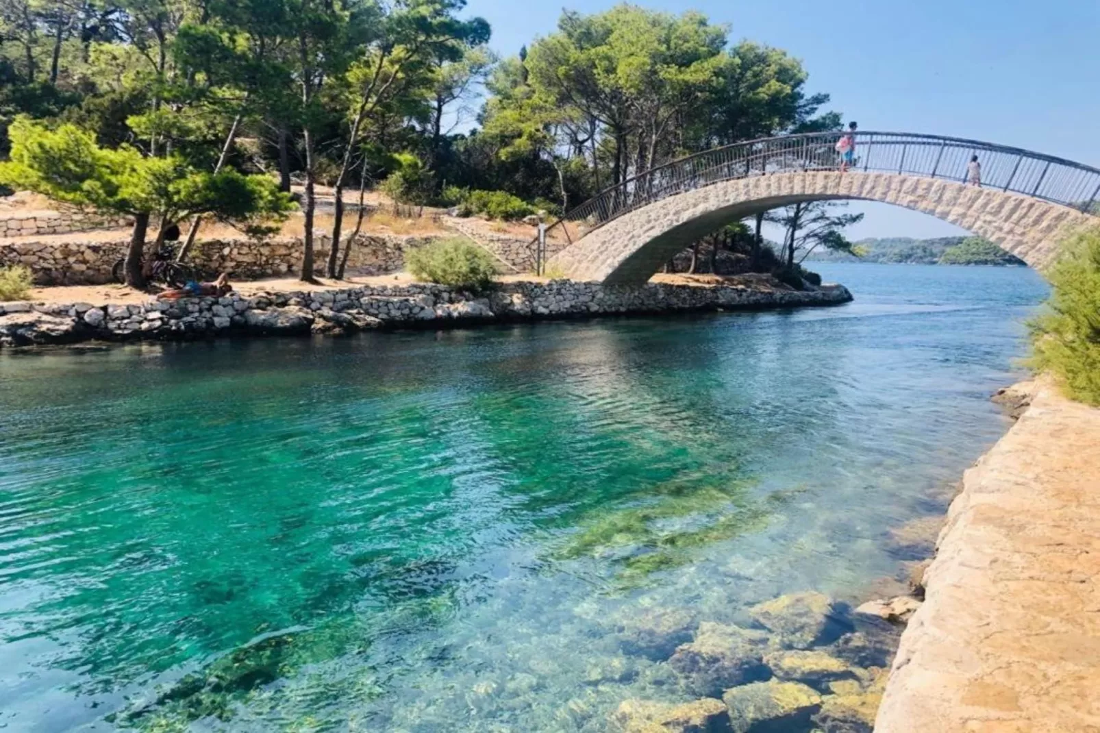 Apartments Franka Saplunara-Double Room with Terrace and Sea View-Ambiance