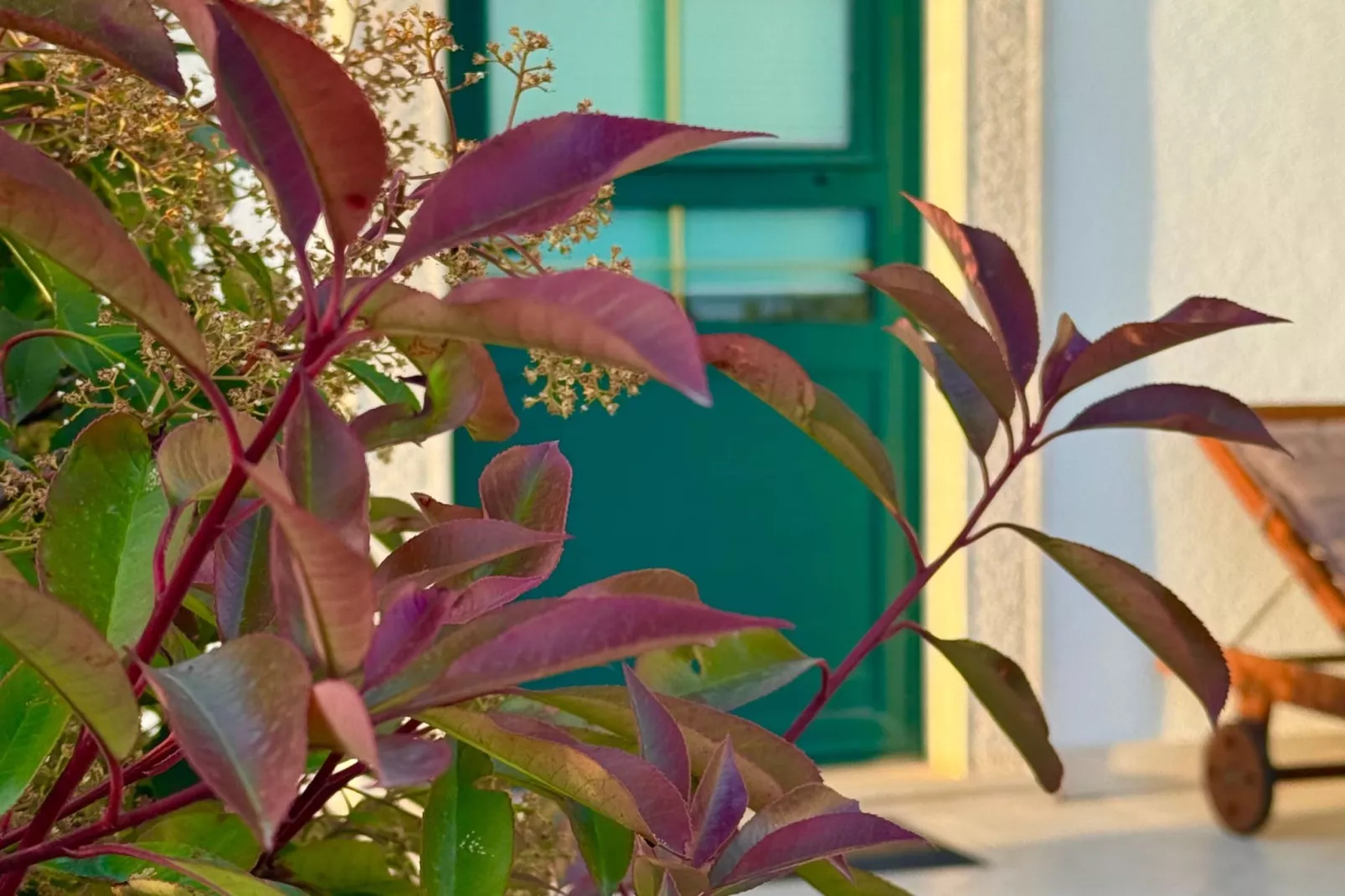 Holiday Home Oliva - Holiday House with Terrace and Sea View-View