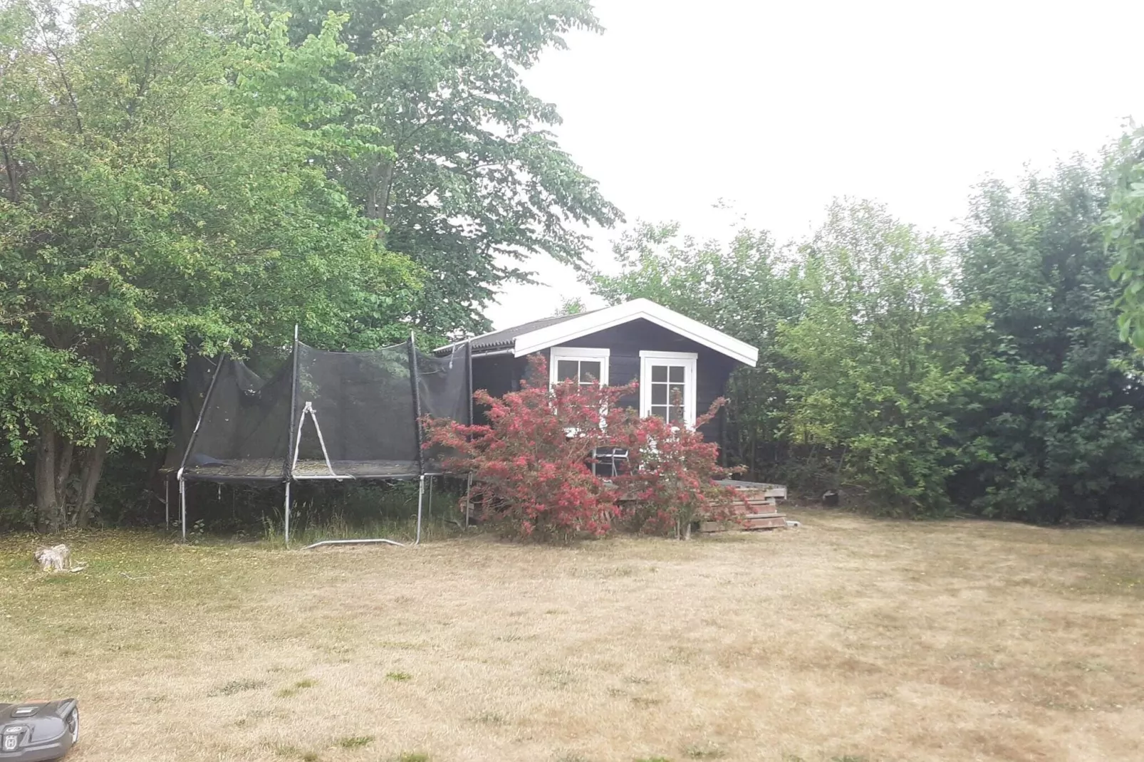 4 star holiday home in Stege-By Traum-Outdoor
