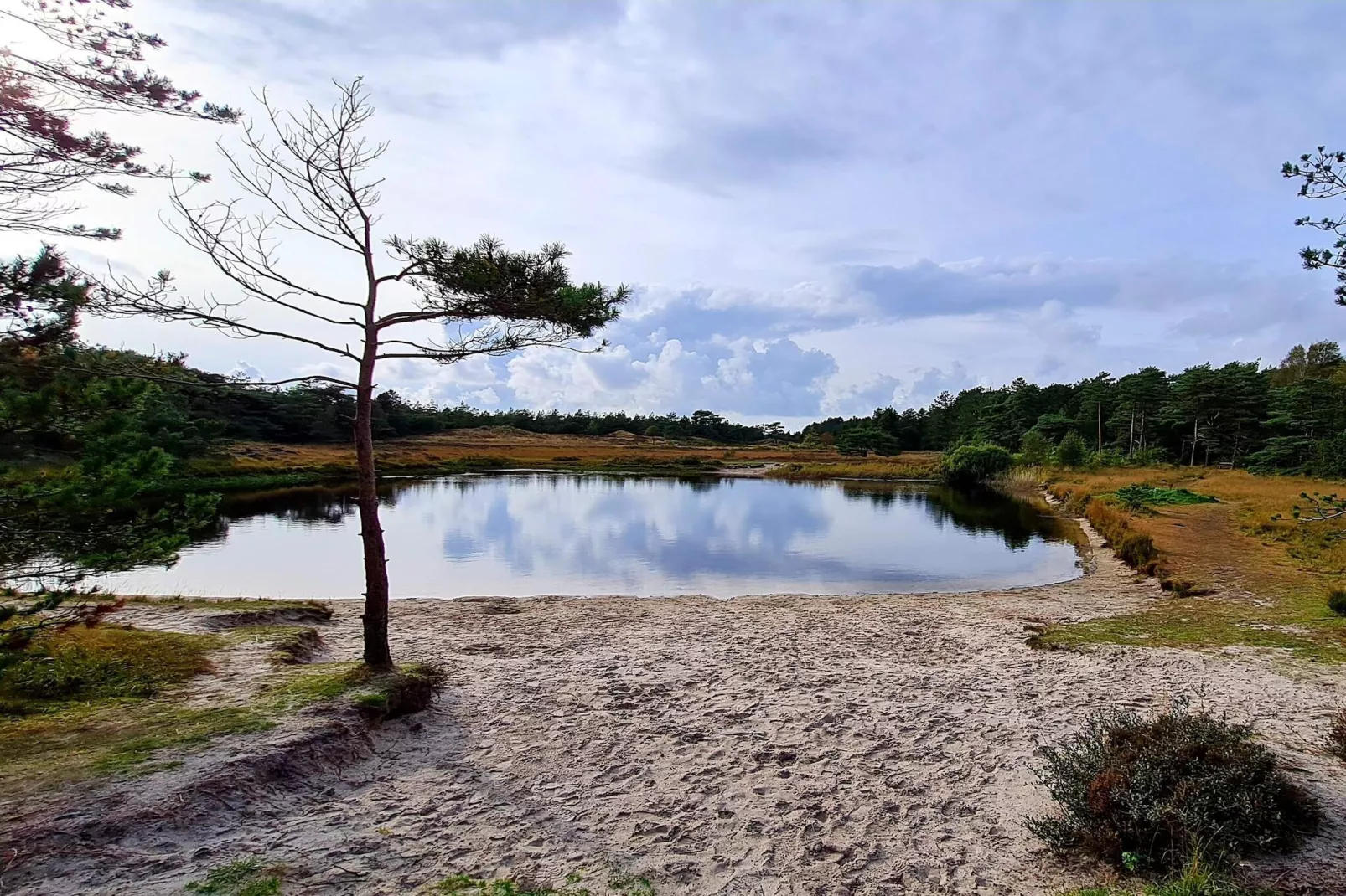 5 Sterne Ferienhaus in Rømø-Wasserblick