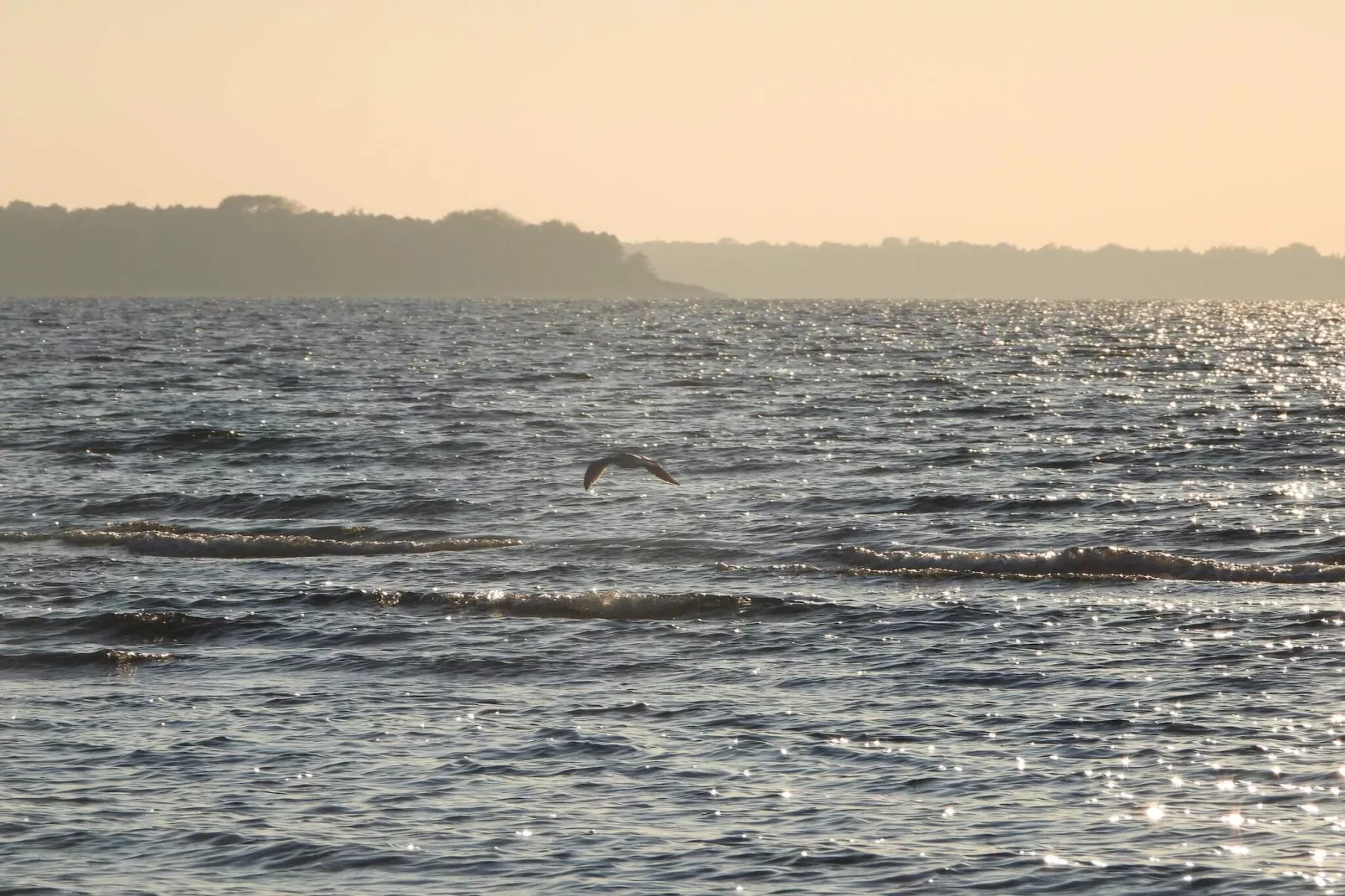 Maison de vacances pour 8 a Asnæs-Vue sur l'eau