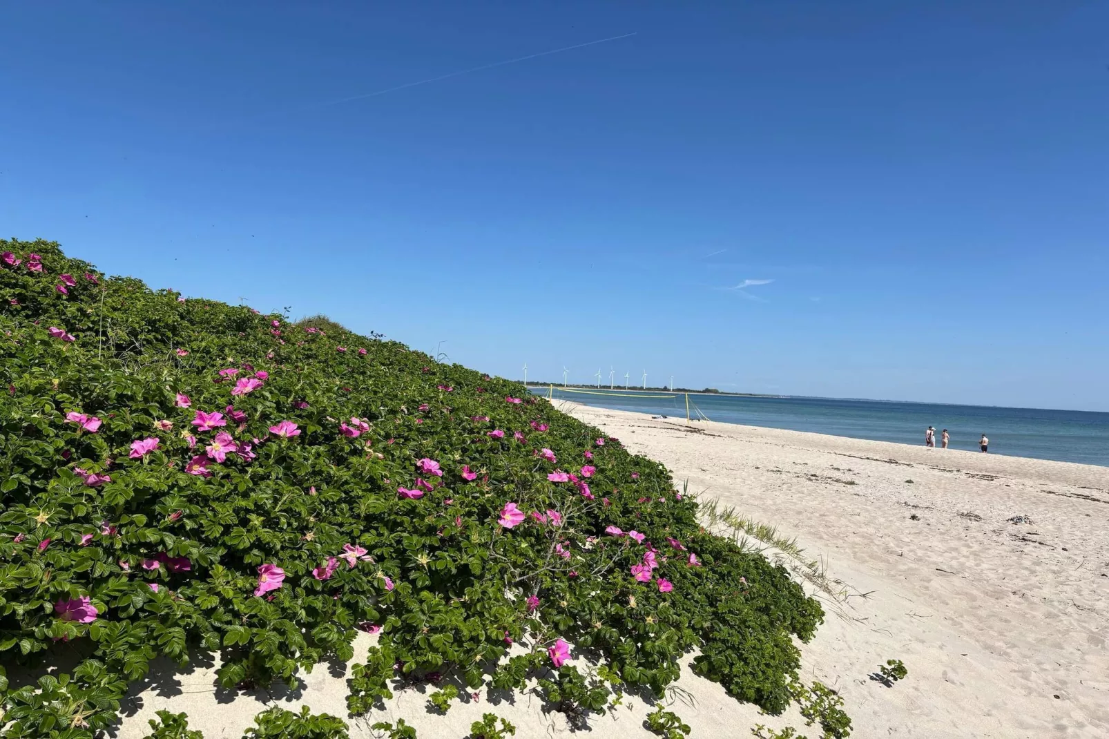 4 etoiles maison de vacances a Sydals-By Traum-Vue sur l'eau